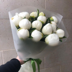 Букет из 15 белых пионов